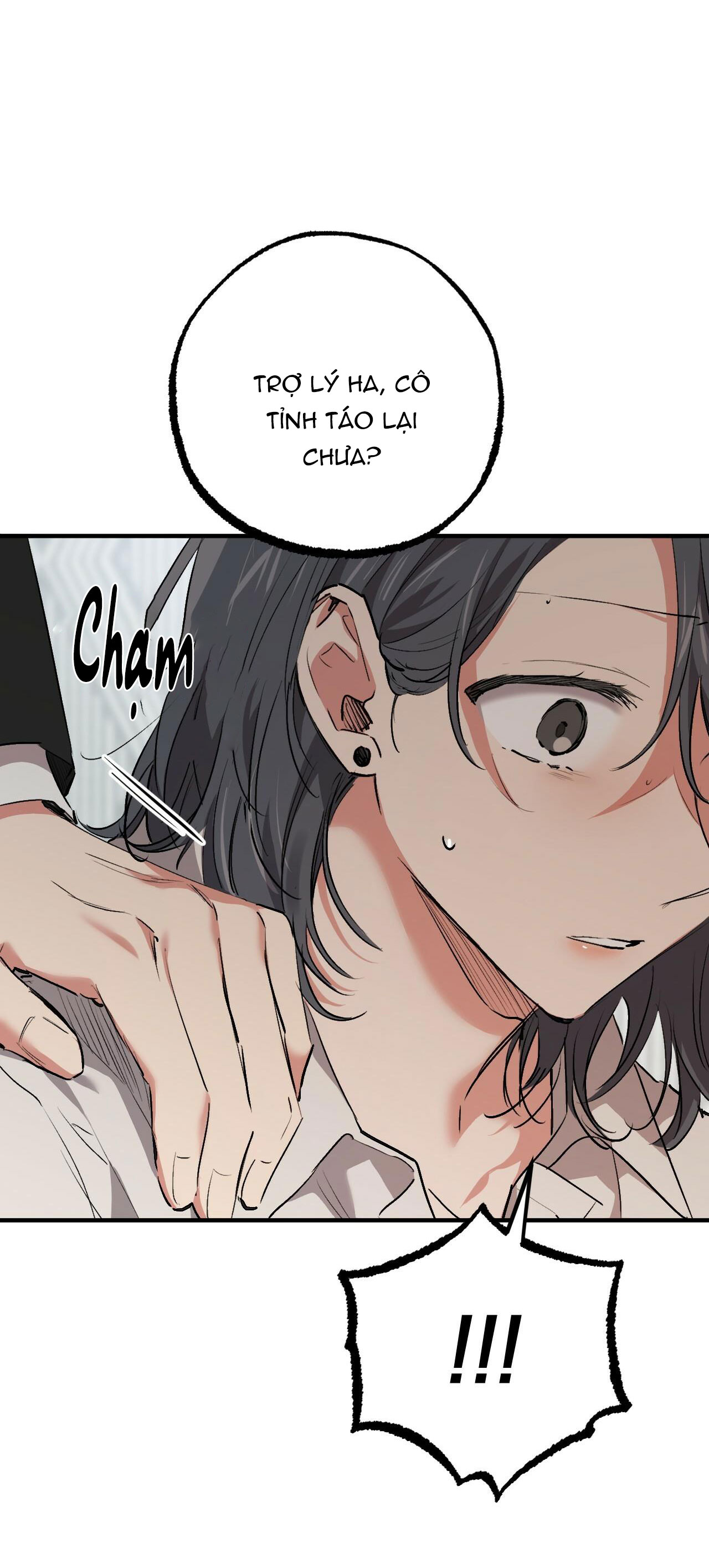 NHỮNG CHÚ THỎ CỦA HAPYPY chapter 33