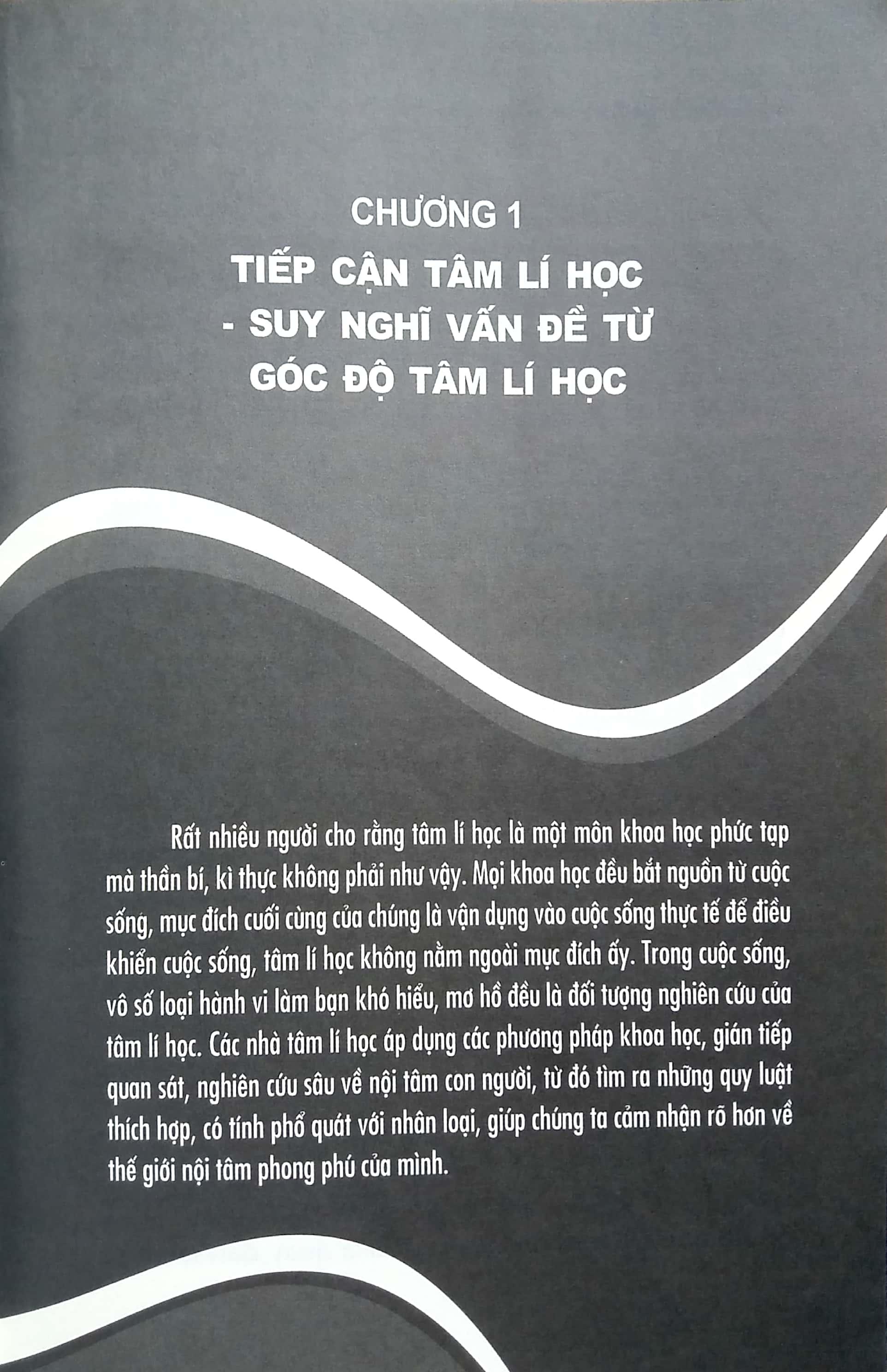 Bạn Có Phải Cá Hồi Chum Không?