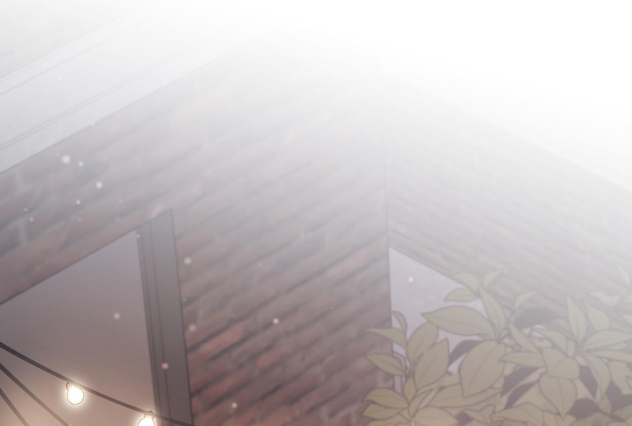 những chú thỏ của hapypy chapter 57 219