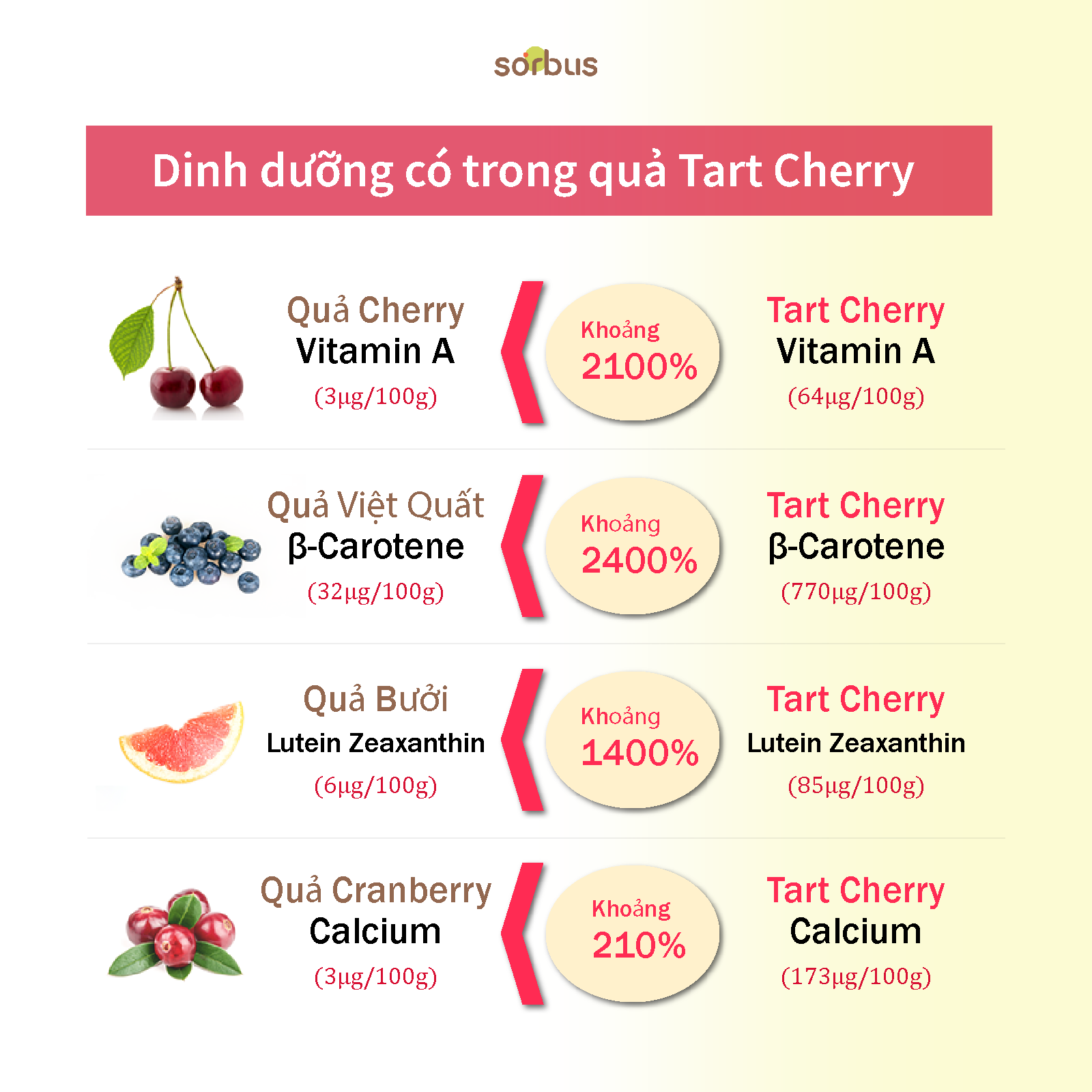 Sorbus Thạch Collagen Montmorency Tart Cherry 38.8 200mg