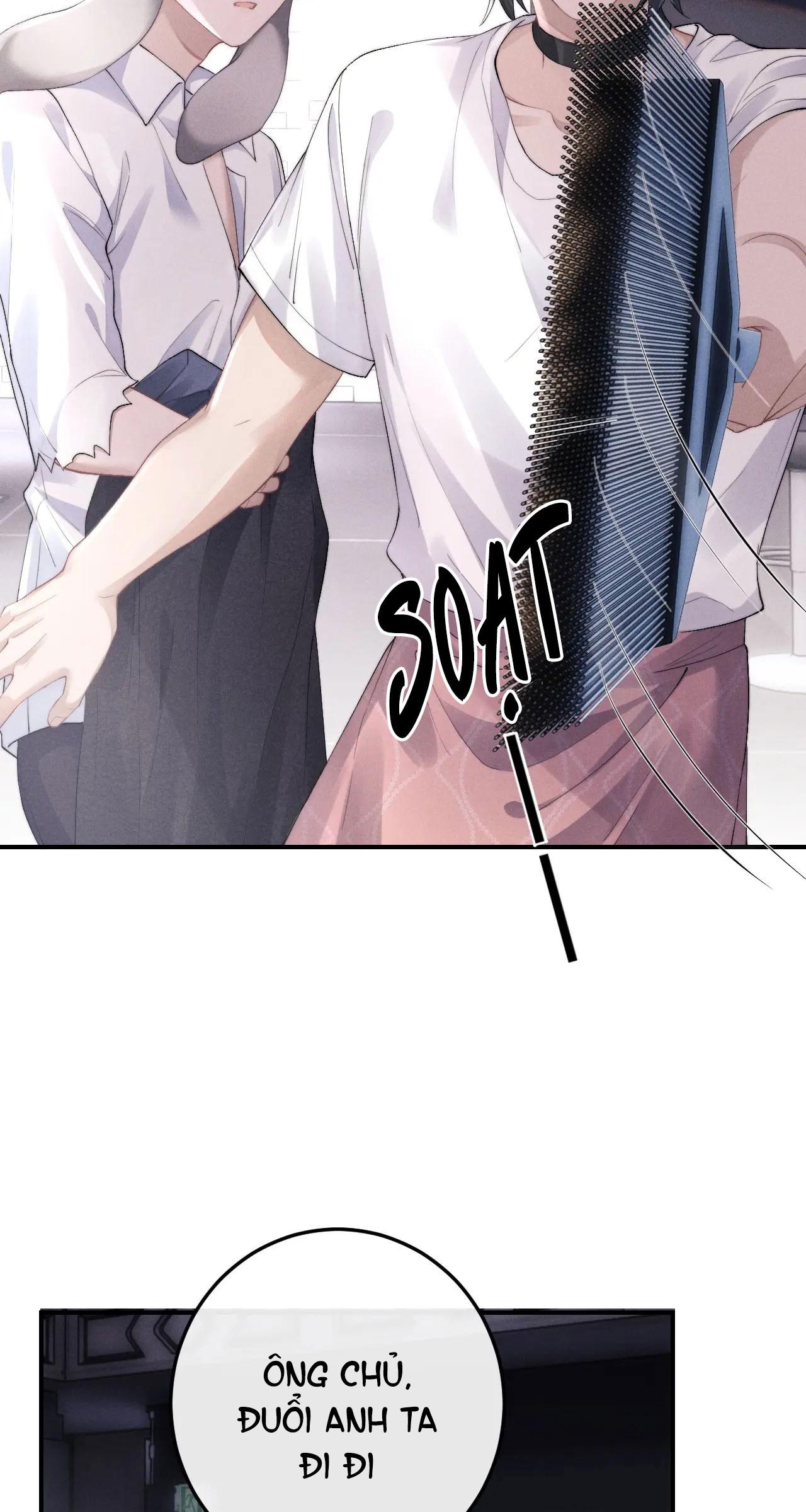 chấp sự thỏ tai cụp chapter 40 14