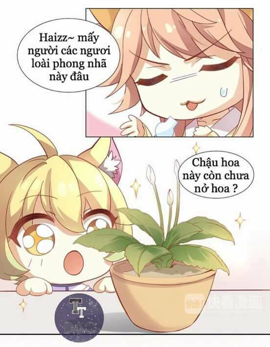 dưới móng vuốt mèo chapter 2 26