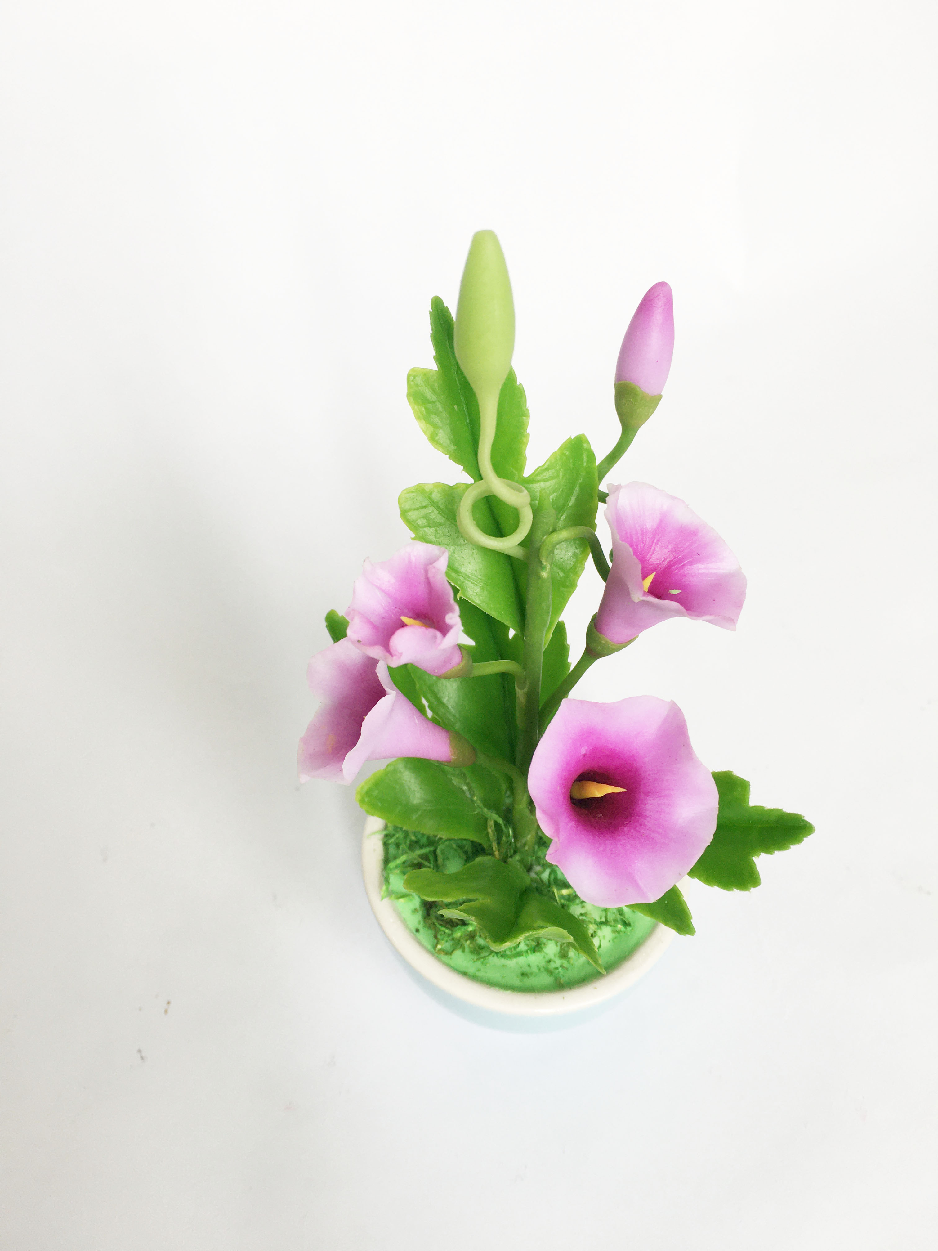 Chậu hoa đất sét mini- Bụi bìm bịp/bìm bìm trong cốc - Quà tặng trang trí handmade
