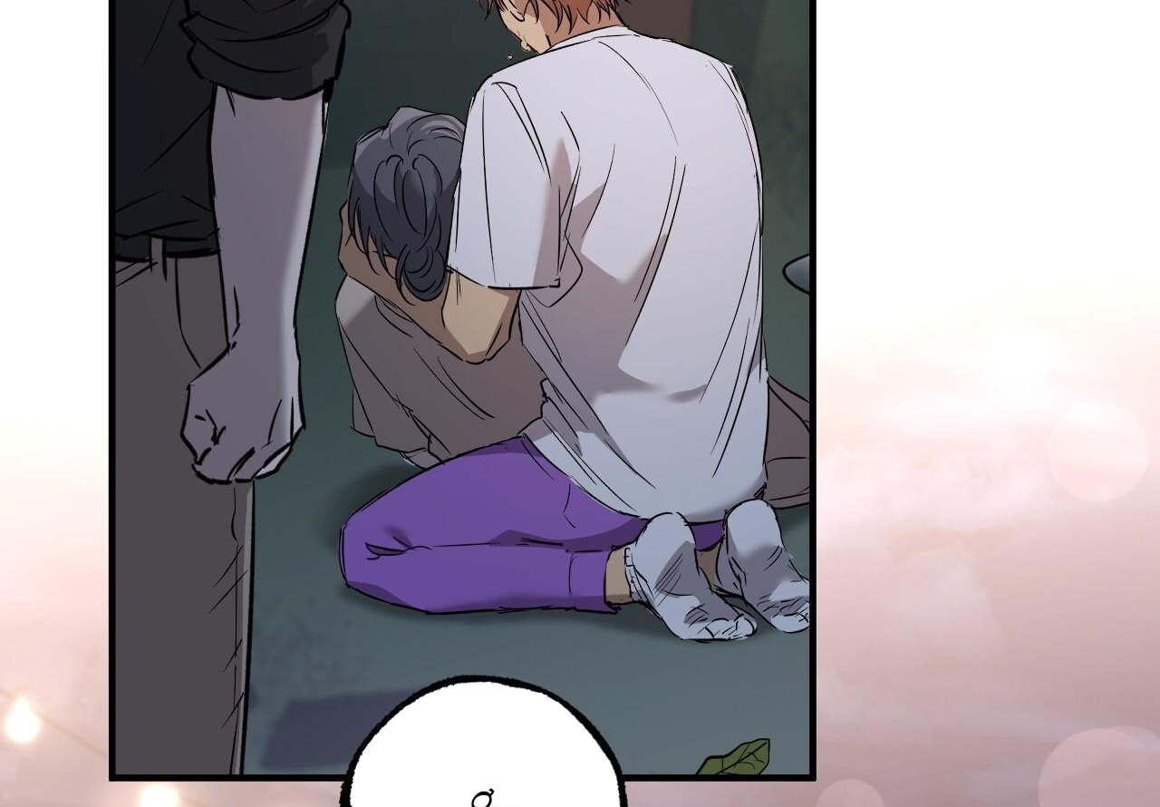 đàn thỏ của habibi chapter 59 3