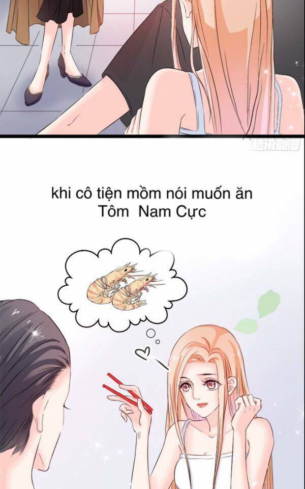 châu tiên sinh, ép cưới là bất hợp pháp đấy chapter 2 24