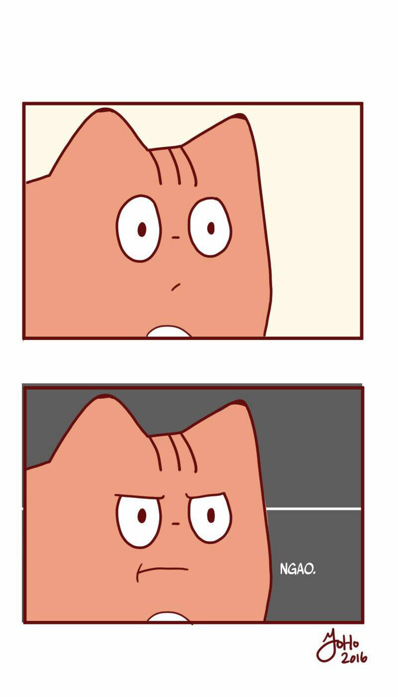 saphie: chú mèo một mắt chapter 14 10