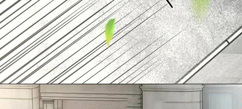 thiếu soái của tôi chính là manh như vậy chapter 29 31