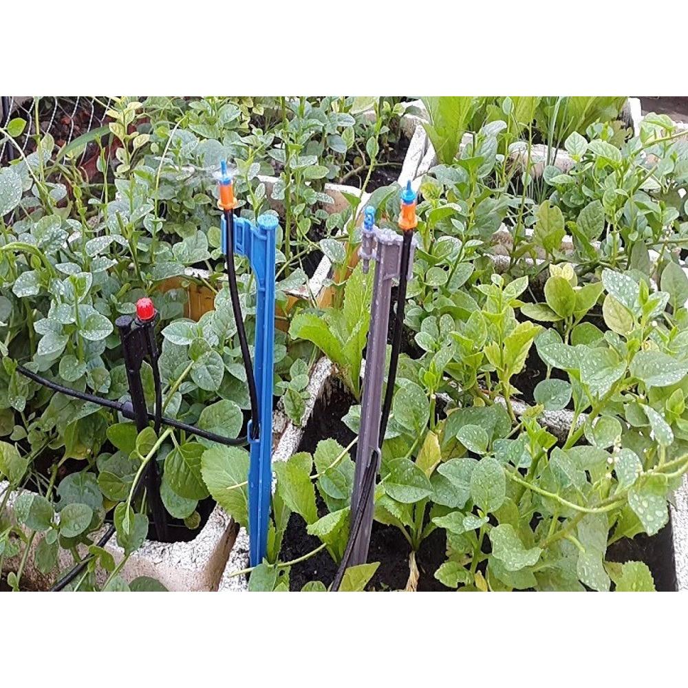 Combo 50 béc tưới gốc