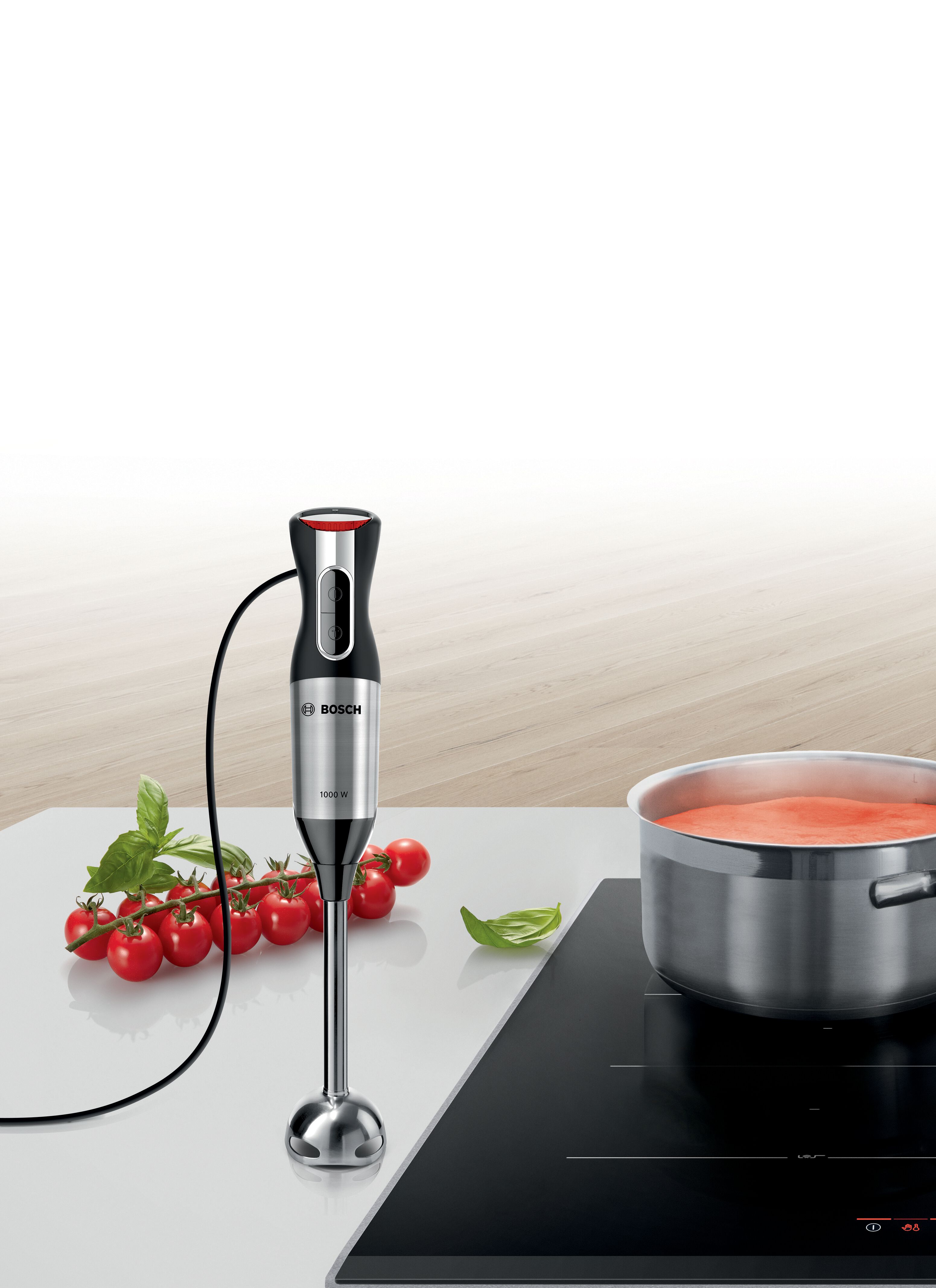 Máy xay sinh tố cầm tay MS6CM6166 ErgoMixx 1000W 12 tốc độ - Hàng chính hãng