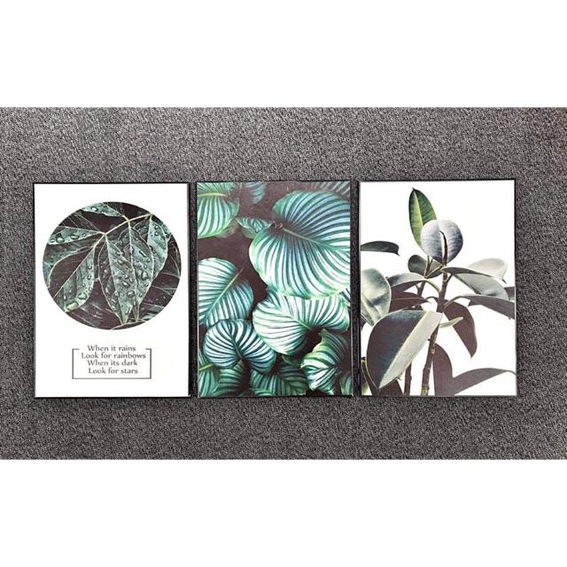 Tranh canvas decor bộ 3 bức kích thước 40x60cm