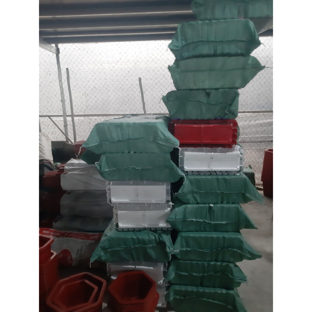 Chậu Trồng Cây Hàng Rào TH Garden - Size To 47x22x17cm - Hàng Loại 1 Dày, Bóng Đẹp - Chậu Nhựa Trồng Hoa Composite