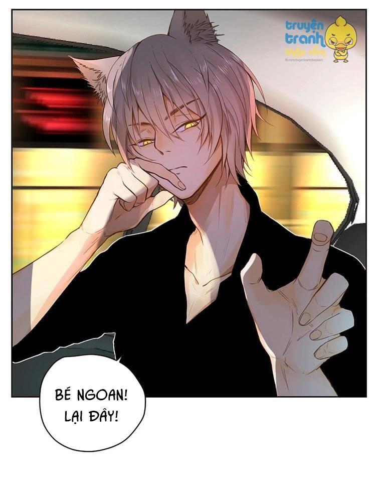 cứu mạng ! loài mèo thống trị thế giới rồi ! chapter 26 25