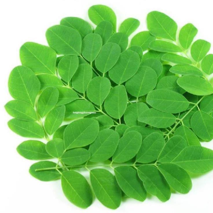 50H - HẠT GIỐNG RAU CHÙM NGÂY