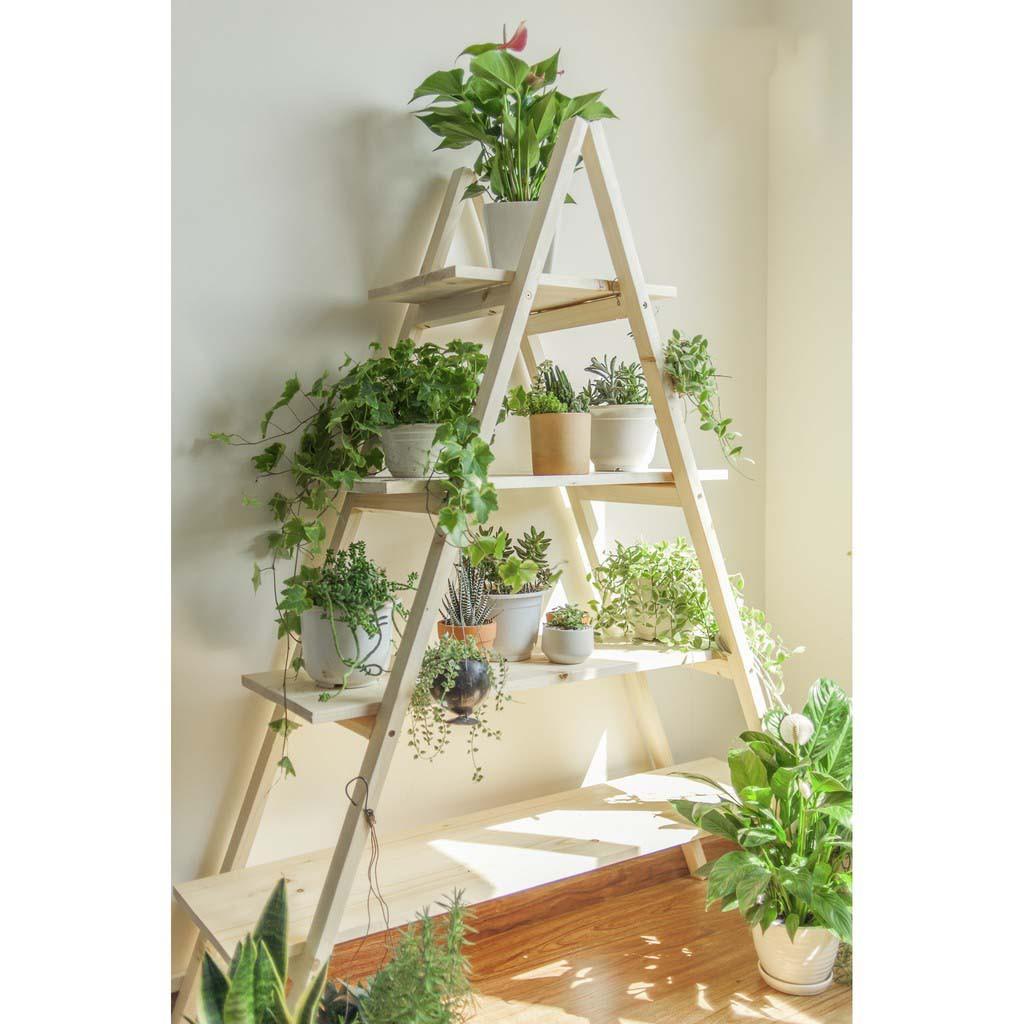 Kệ 2 Thang Tam Giác/ Kệ Gỗ Thông Để Cây, Trang Trí Nhà Cửa+++Trọng Lượng Nhẹ Dễ Lắp