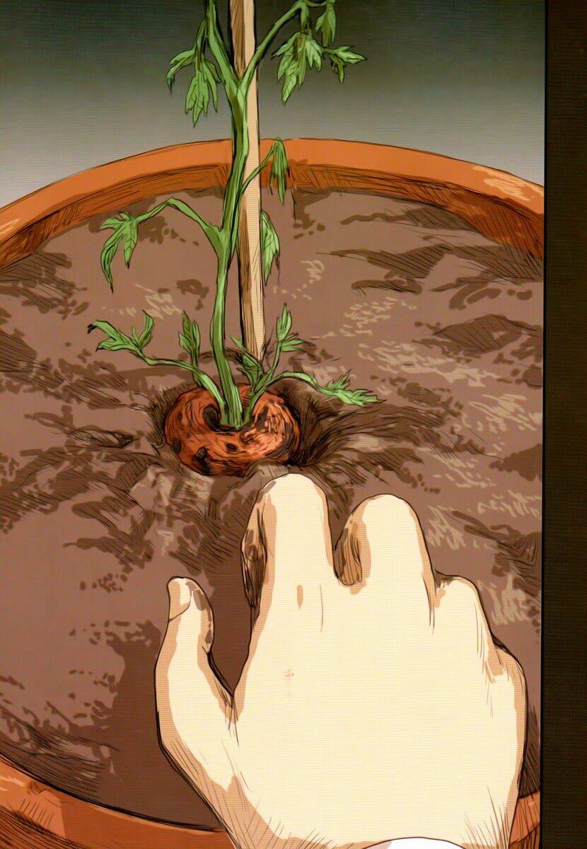 ryuushika ryuushika chapter 40 28