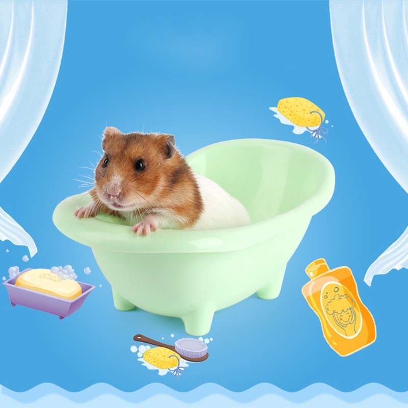 Bồn tắm cho chuột  - thú cưng