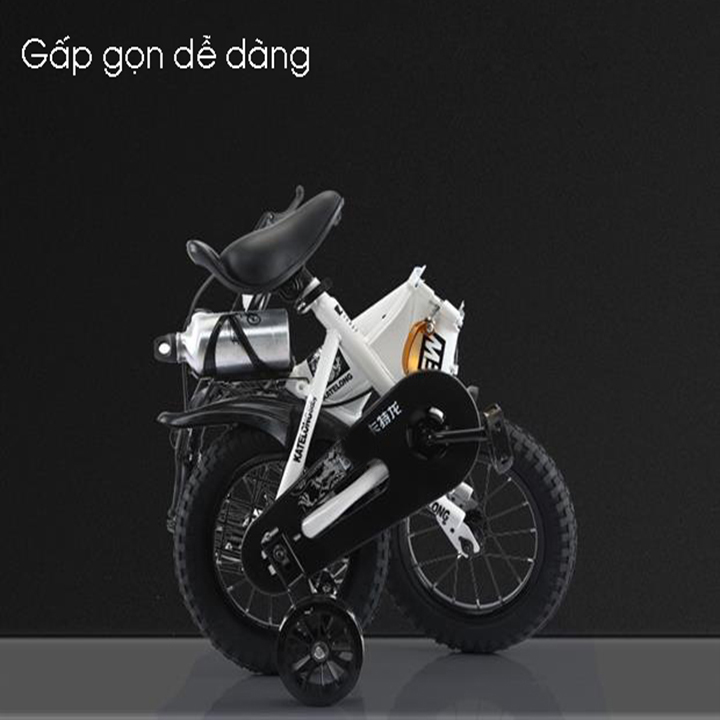 Xe đạp xếp gọn RE0511 - RE0512