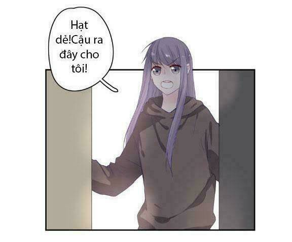 quy tắc của mỹ nam chapter 31 10