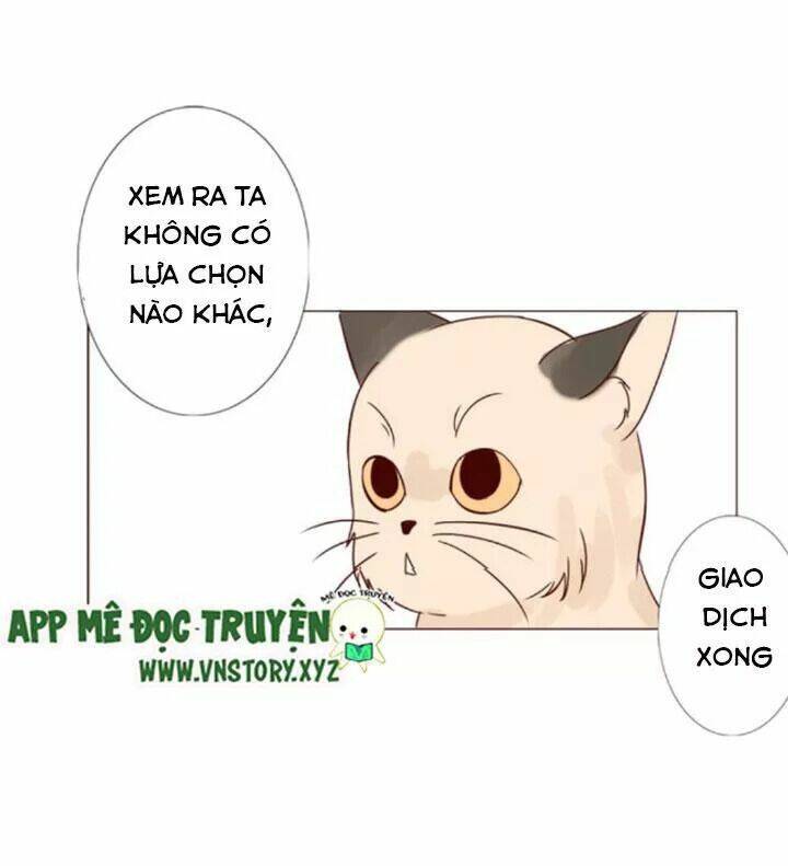 hồ tiên này không tin được chapter 10 23