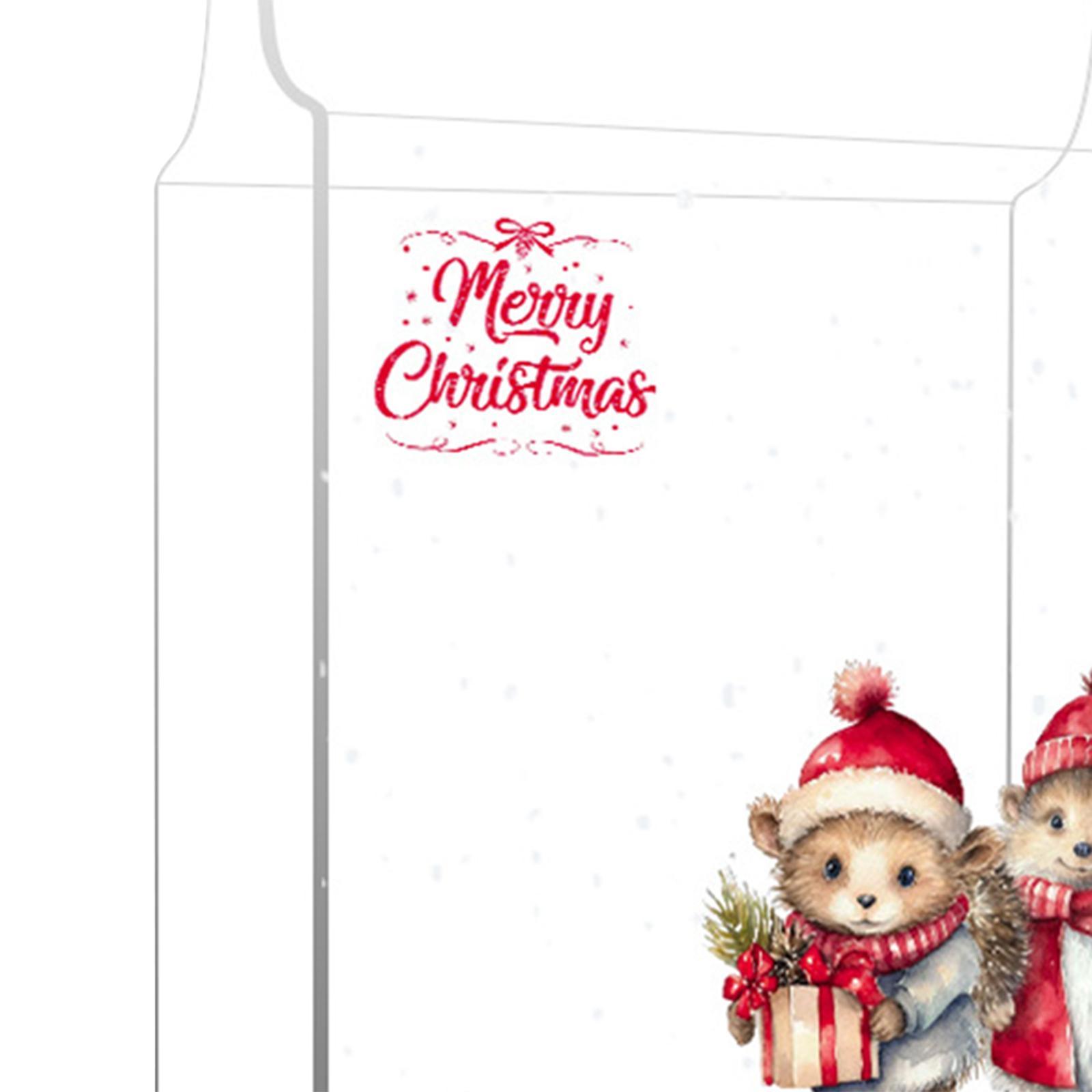 Gift Box Clear Box Decoration, Christmas Holiday Gift Box, Delicate Acrylic Storage Container for Small Collections Statues Collections Dolls