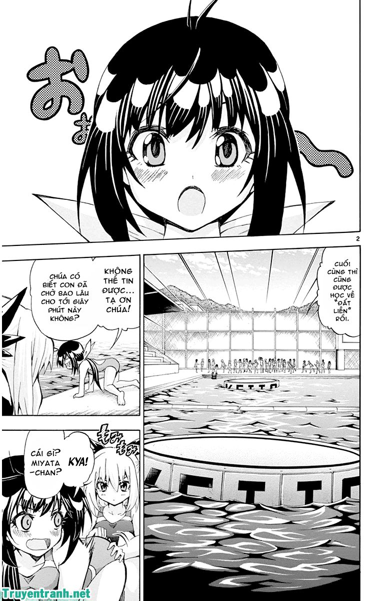 keijo!!!!!!!! (yml) chapter 41 3