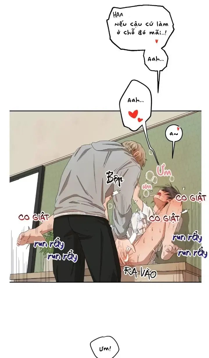 liveta chapter 18 24