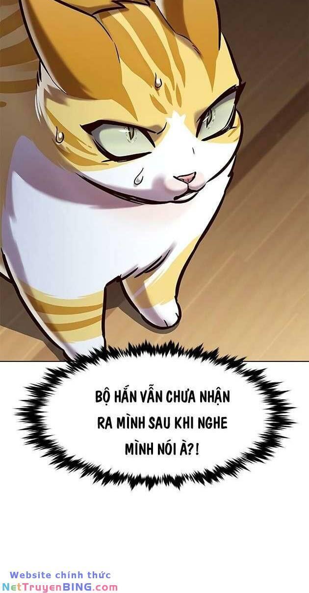 biến thân thành mèo chapter 278 18