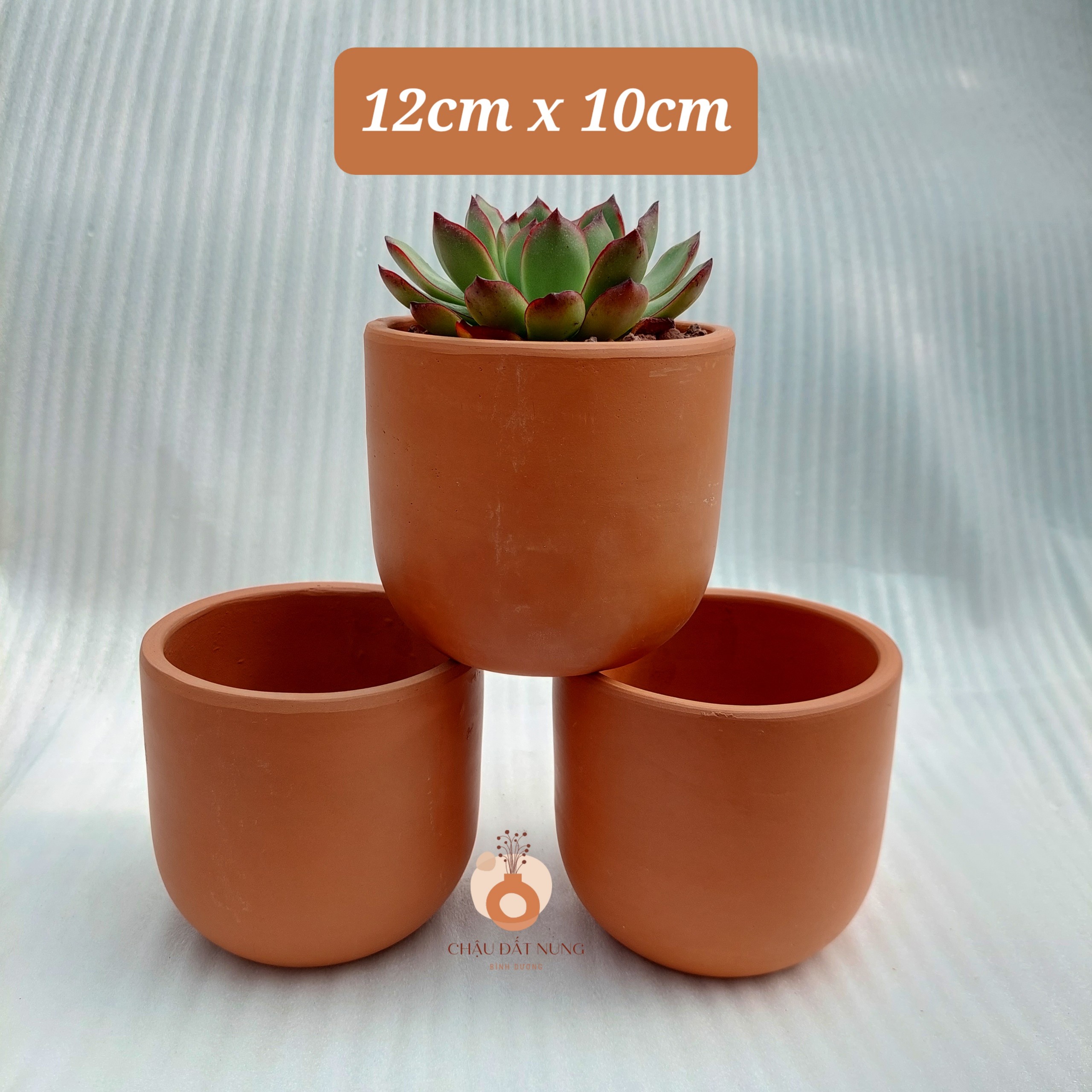 Chậu đất nung Bình Dương - Trụ trứng 1210, miệng chậu 12cm, chiều cao 10cm