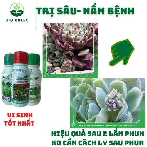 Phân bón cho sen đá,Thuốc trừ diệt sâu nấm bệnh sinh học hữu cơ TSBIO trị đốm đen,rệp sáp,thối thân lá rễ,sâu ăn thân