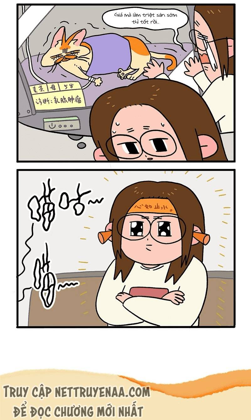 a mãn và mạch trà chapter 13 6