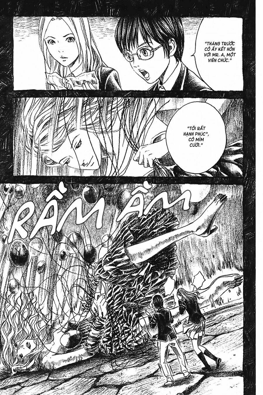 ảo ảnh picasso chapter 4 41