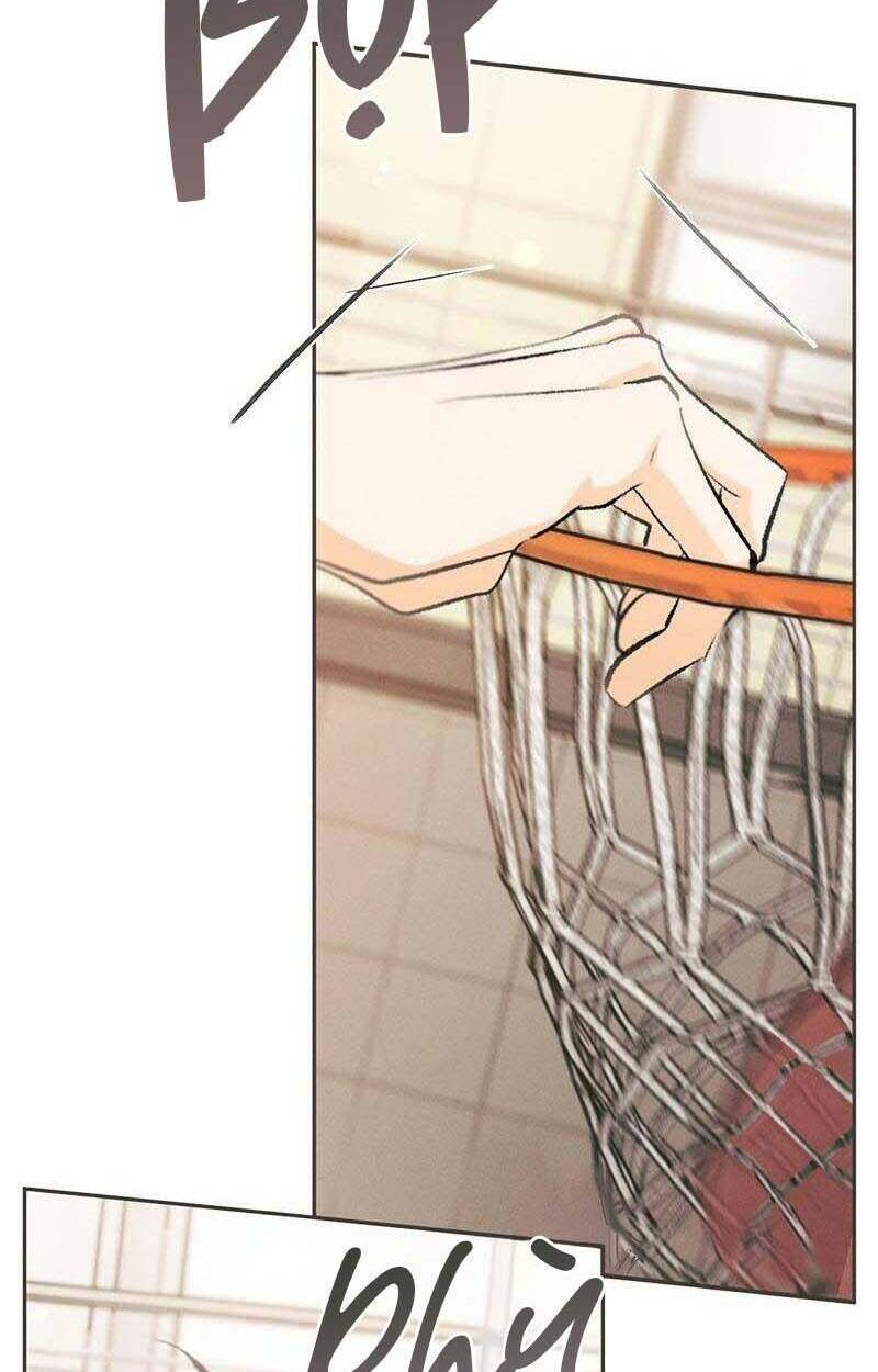 giấc mộng đêm hè chapter 1.2 49