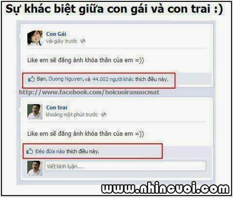 hình ảnh hài hước new chapter 28 16