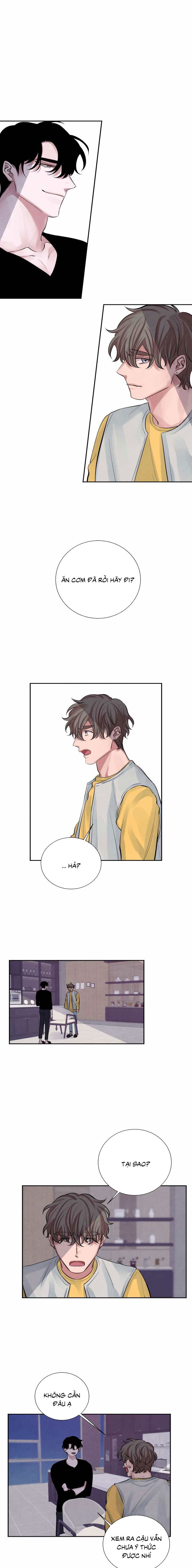 tiếng san hô nở chapter 8 1