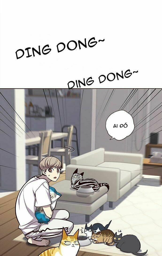biến thân thành mèo chapter 22 31