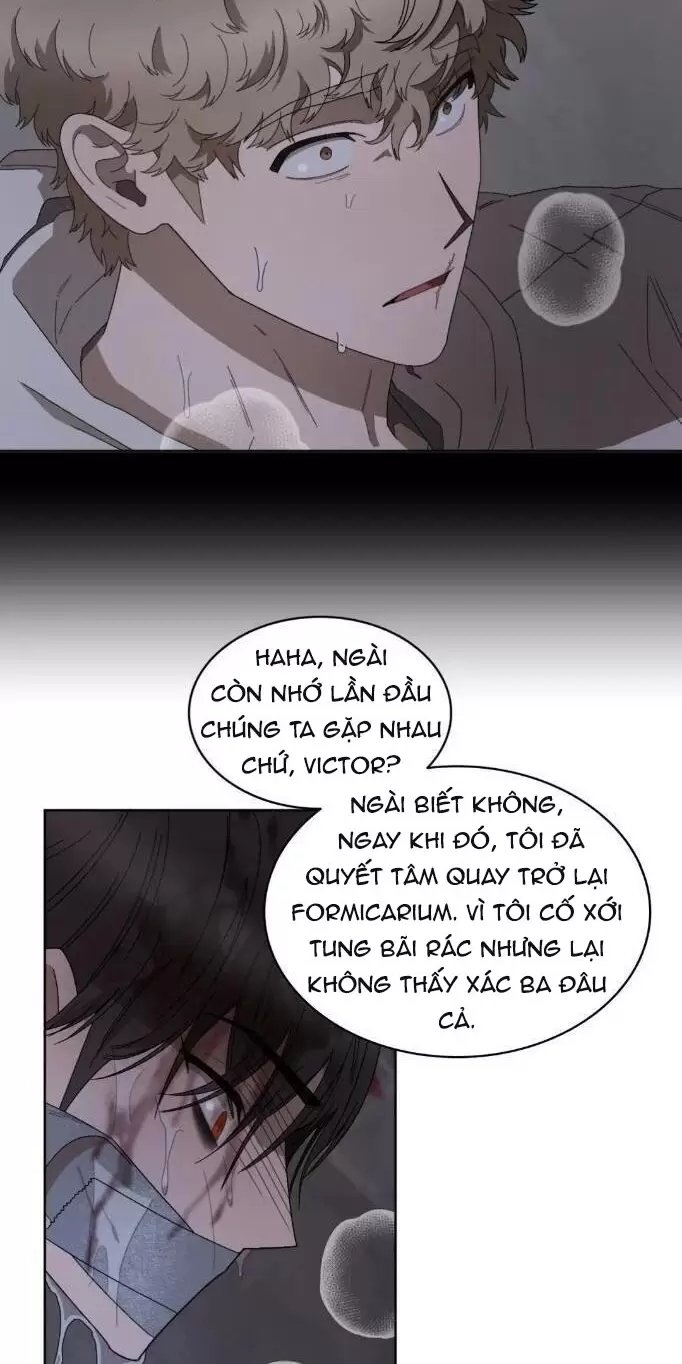 liveta chapter 36 39