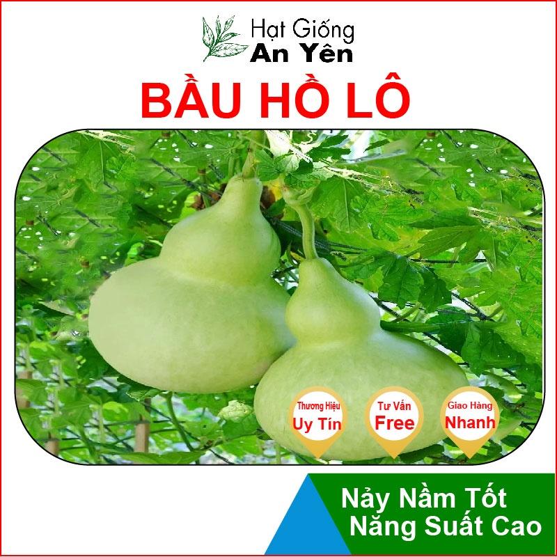 Hạt giống Bầu Hồ Lô thu hoạch sớm, dễ trồng, nảy mầm cao, sinh trưởng khoẻ