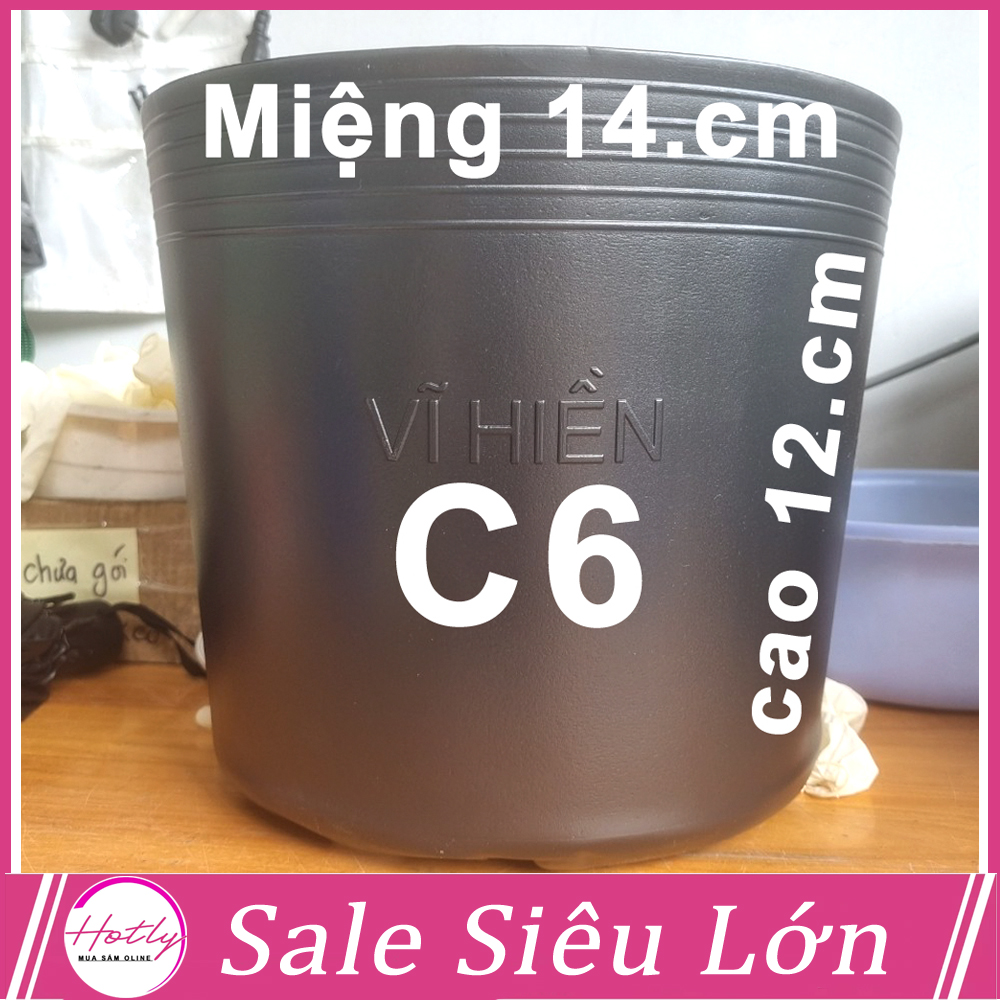 100 Chậu nhựa C6 trồng cây và ươm cây giống miệng.cao 14x12 cm -77100
