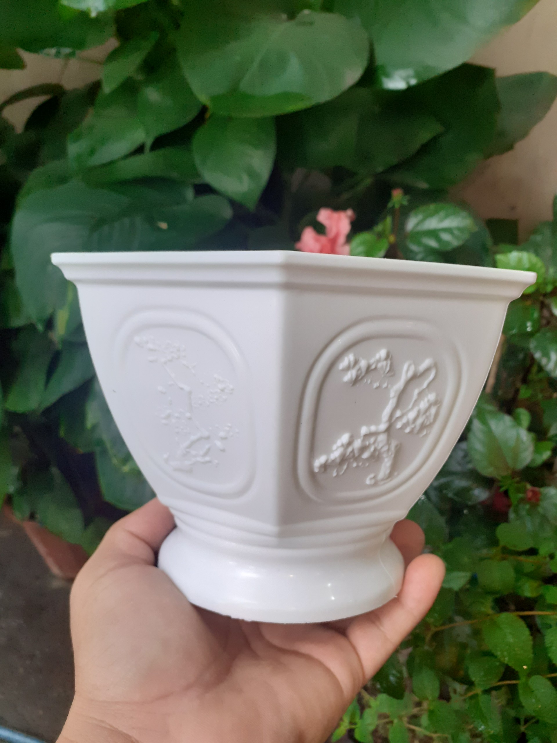 Chậu nhựa LỤC GIÁC In hình Tùng Cúc các mặt.