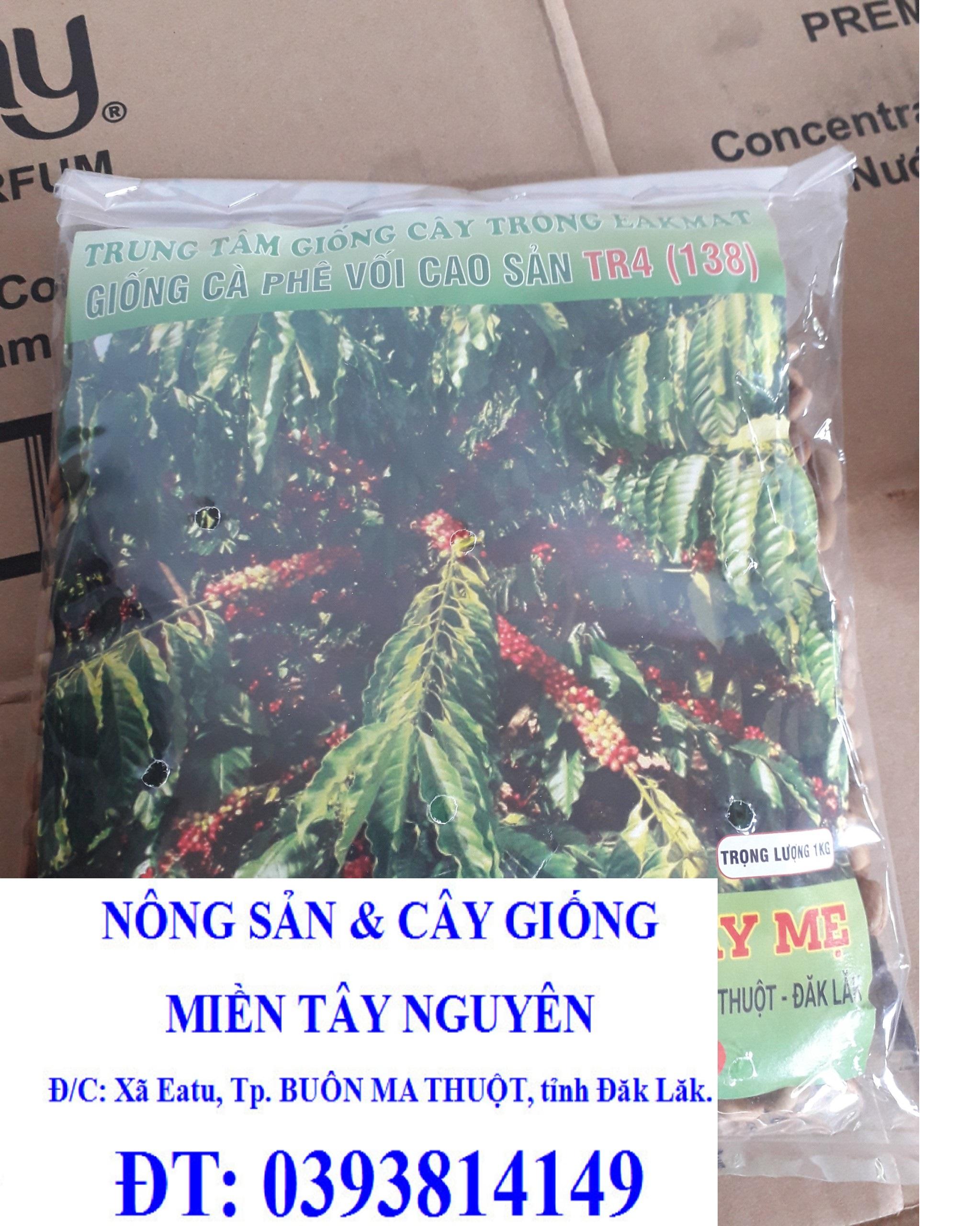 1 KG HẠT GIỐNG CÀ PHÊ VỐI CAO SẢN TR4 .