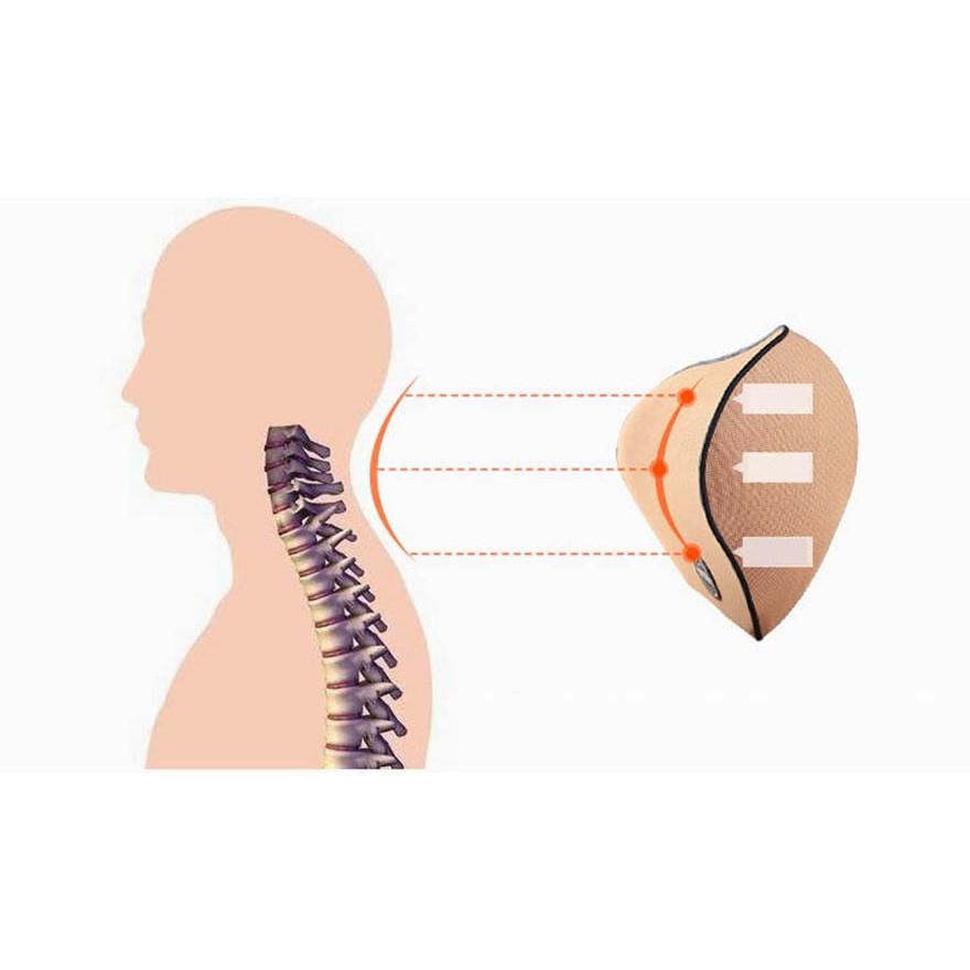Gối tựa đầu ô tô, Gối tựa lưng ô tô Cao su non Mẫu 1