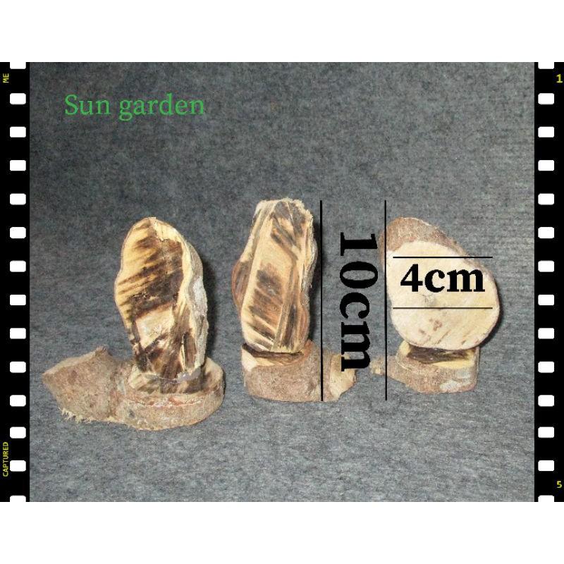 TƯỢNG GỖ MAI TRANG TRÍ SÁNG TẠO