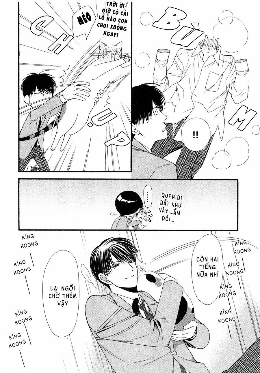 neko neko honey chapter 12 24