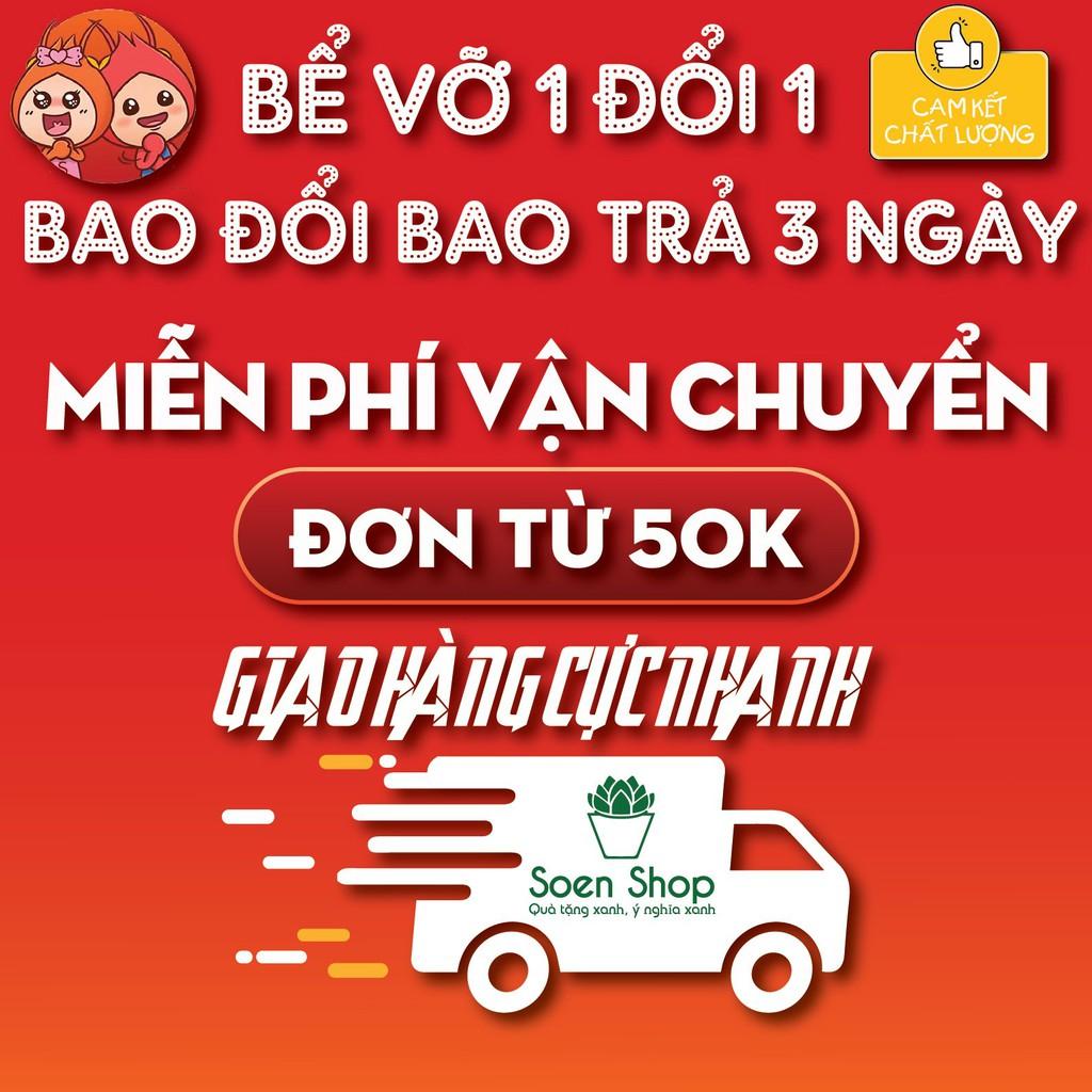 Chậu trồng sen đá xương rồng - chậu lục giác