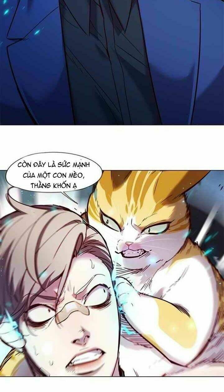 biến thân thành mèo chapter 93 53