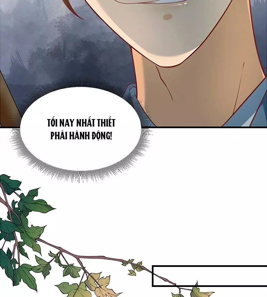 thịnh thế lê hoa điện chapter 61 24