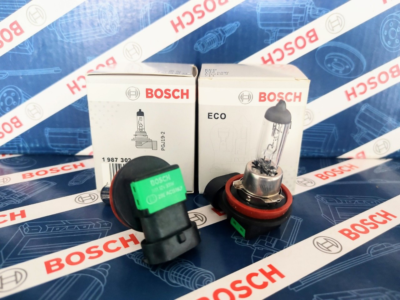 Bóng Đèn Bosch H11 12V 55W