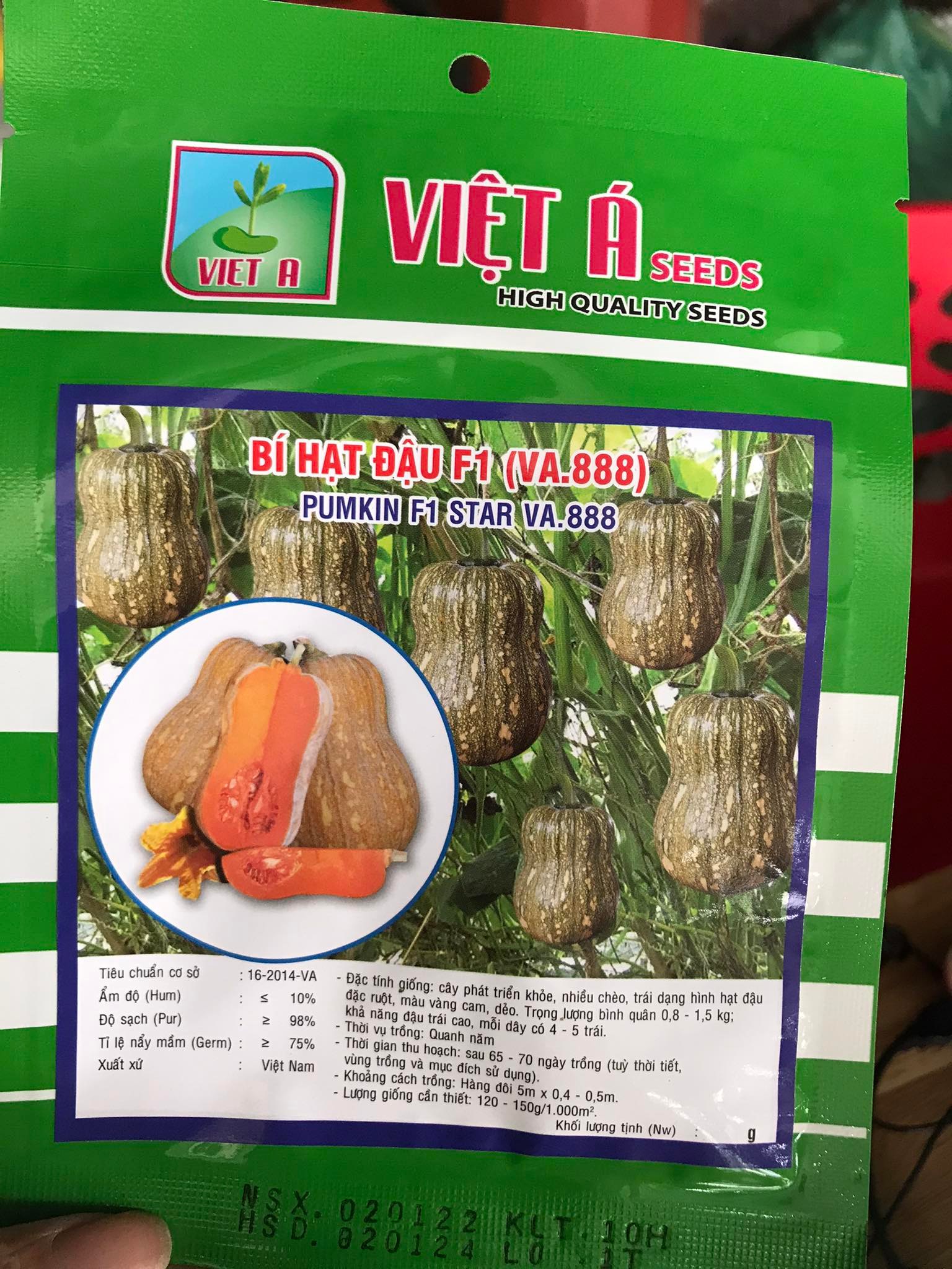 Gói 10 Hạt Giống Bí Đỏ Hạt Đậu Lai F1 Năng Suất Cao