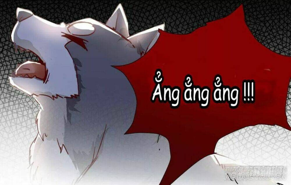 công chúa là nam nhân chapter 6.2 6