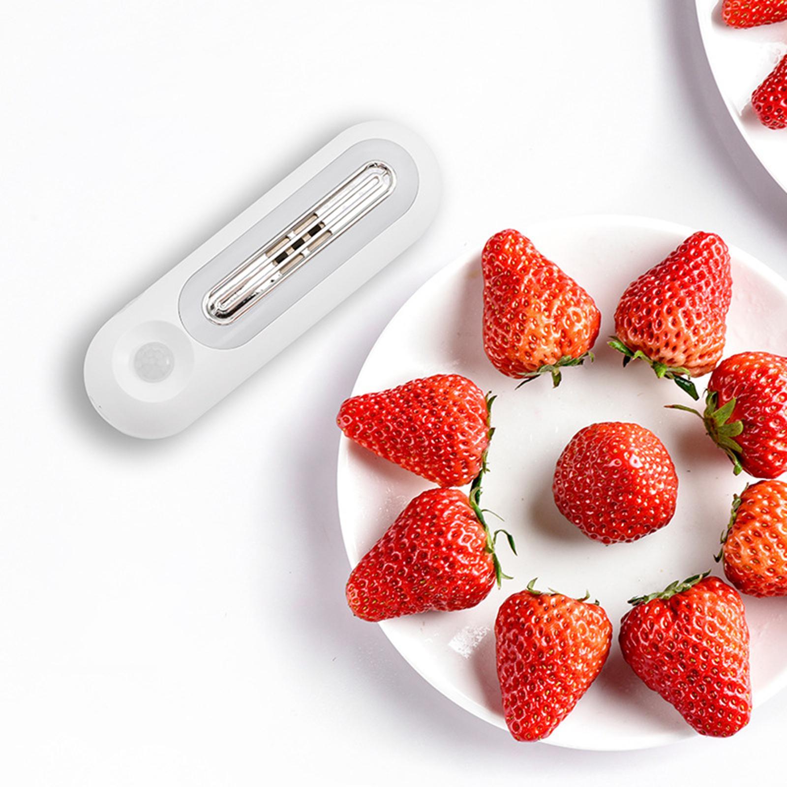 Refrigerator Deodorizing Sterilizer O3 Ozone Generator Air Purifier for Fridge